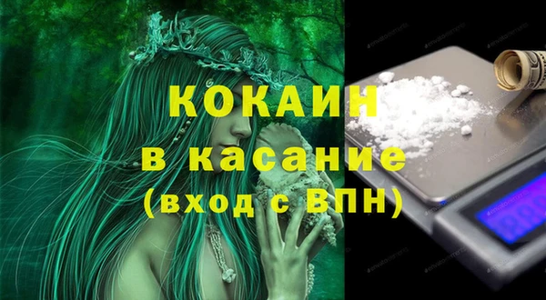 шишки Абаза