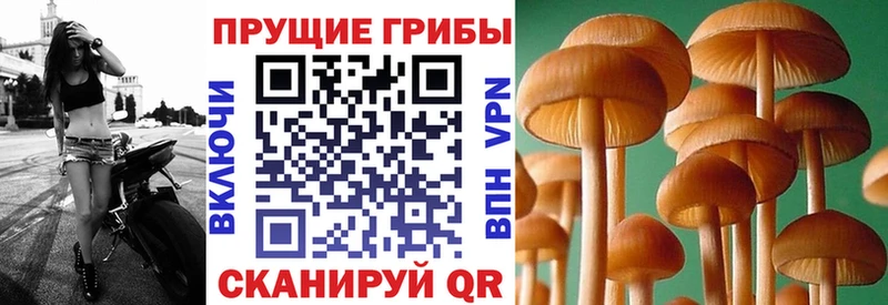 нарко площадка Telegram  Керчь  Галлюциногенные грибы мухоморы 