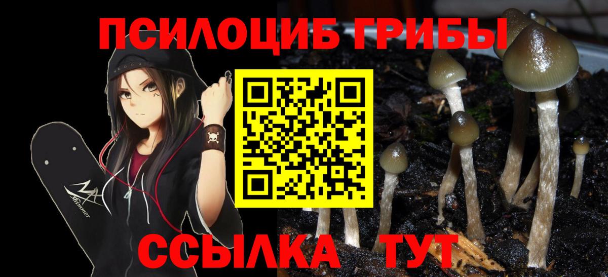 Галлюциногенные грибы Psilocybe  как найти наркотики  Керчь  Вход с VPN 